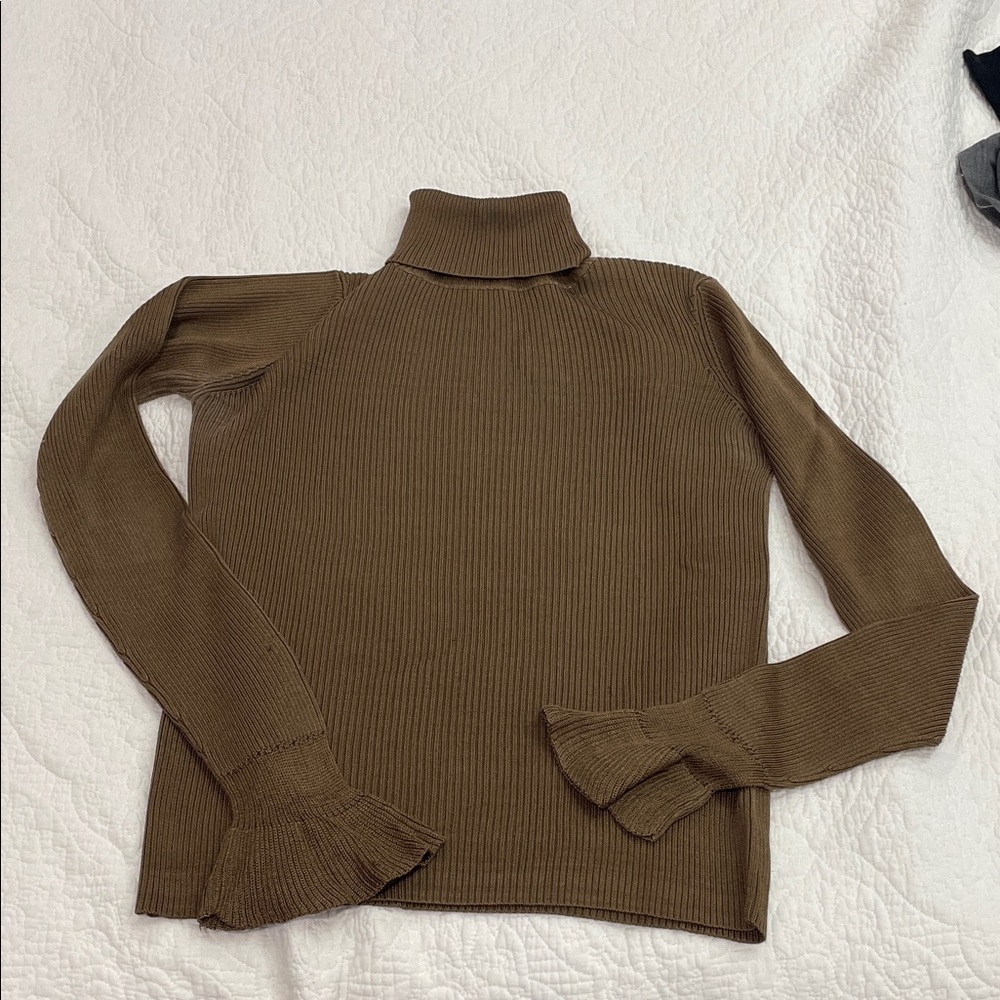 DKNY Olive Turtleneck Sweater